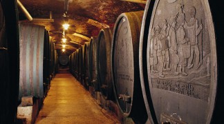 Ptuj Wine Cellar