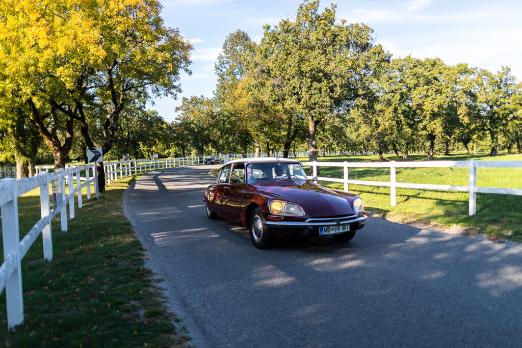 Vintage car driving through Slovenian countryside