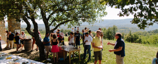 Nature-Based and Experiential Activities for Corporate Groups in Slovenia