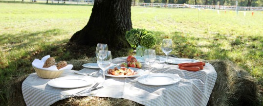 Country Style Picnic Lunch in Slovenia