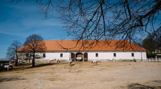 Country Style Picnic Lunch - Lipica Stud Farm