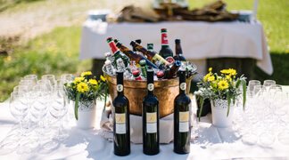 Country Style Picnic Lunch - Lipica Stud Farm