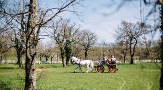 Country Style Picnic Lunch - Lipica Stud Farm